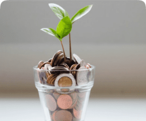 coins in a vase with leaves sprouting